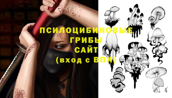 прущие крисы Алзамай