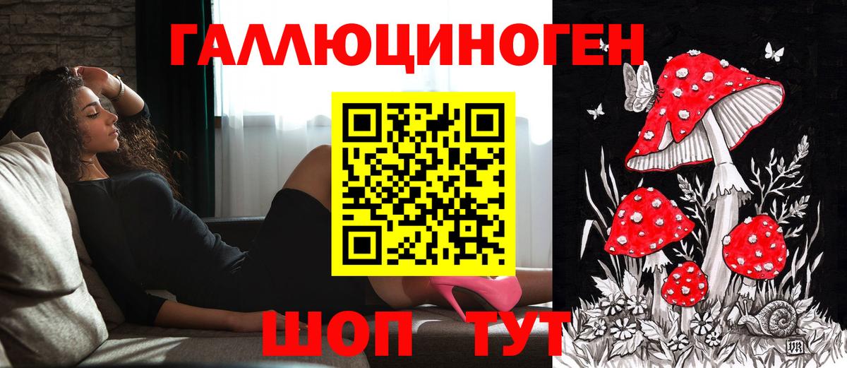 Галлюциногенные грибы Psilocybe Киреевск